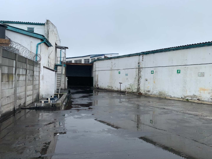 To Let commercial Property for Rent in Paarden Eiland Western Cape